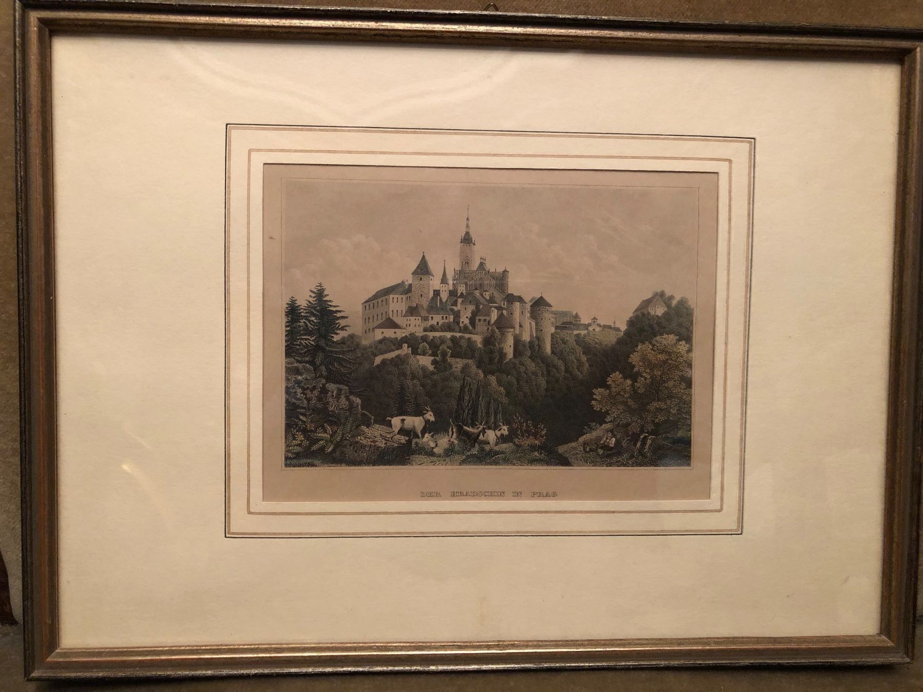 Foto & Immagini: DER HRADSCHIN in PRAG. FARBLITHOGRAPHIE. – Usato da Wald ZH venduto da mlnt 3