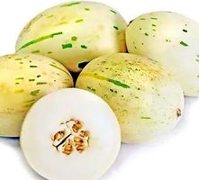 Ab 5.- fr 10 Samen SELTENE MILCH-WEIßE MELONE "DINO"