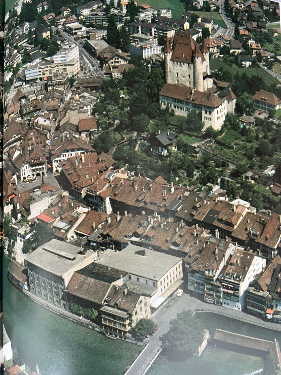 Libri: Die Aare Natur, Geschichte u. Kultur eines Schweizer Flusses – Nuovo (secondo la descrizione) da Oberhofen Thun'see venduto da SwissTreasure 4
