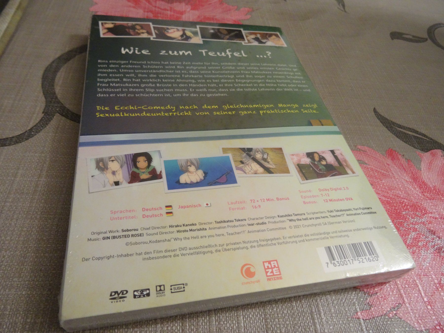 Alle DVDs: Why the Hell are you here, Teacher 2 DVD NEUWARE – Gebraucht aus Olten von Disc-Verkauf 1