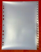 25 Stück: Ordner-Register, transparent, A4, 20-teilig - neu