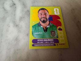 Panini FIFA Fussball WM 2026 Sticker Hernán Galíndez ECU 2