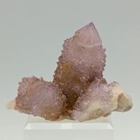 AMETHYST KAKTUS, 100+ Kristalle VIOLETT, Elegant