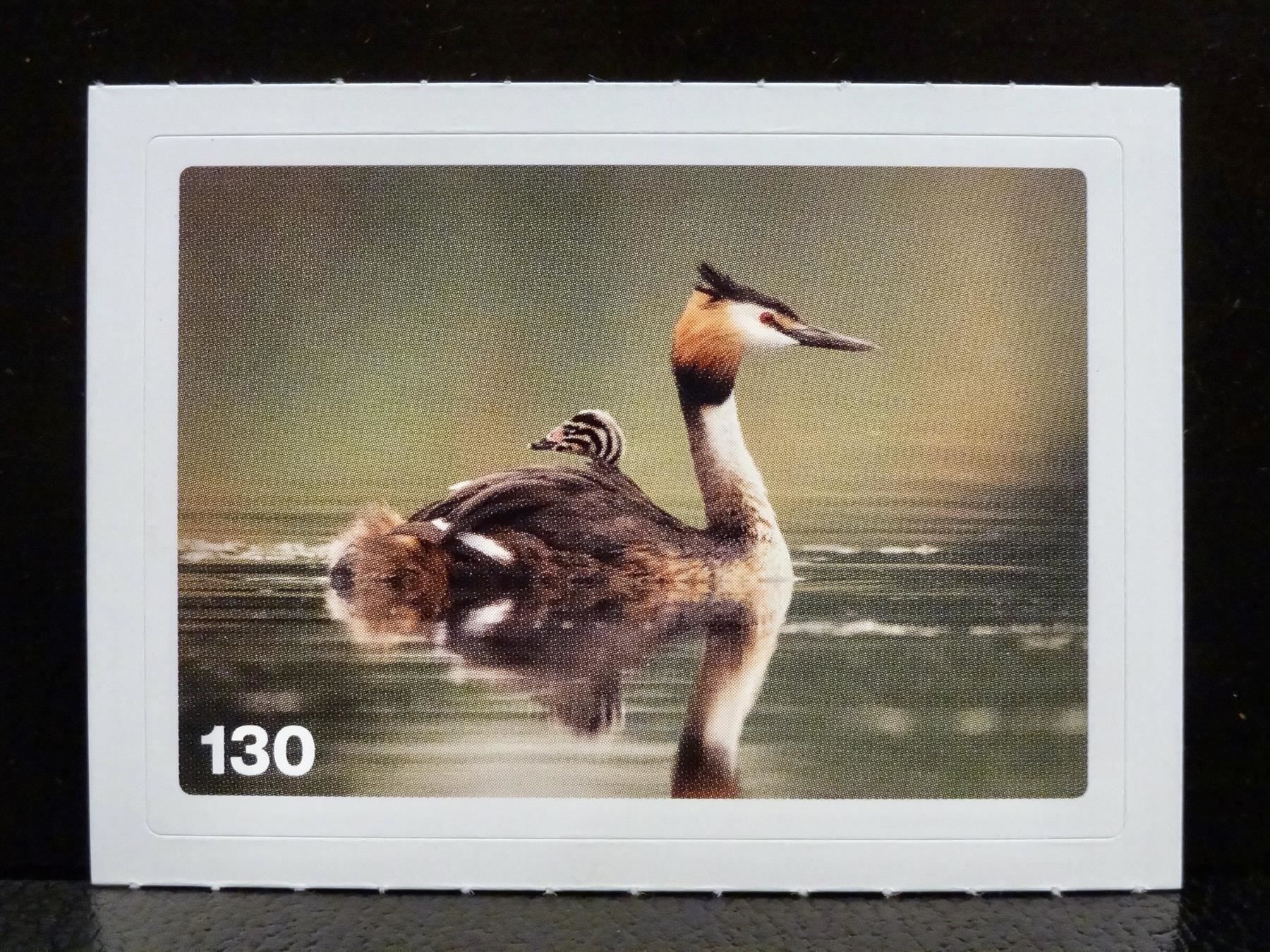 Migros Carte collezionabili: MIGROS MANIA Nature Detectives Nr. 130 – Usato da Kerzers venduto da zimmergruen
