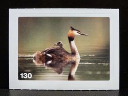MIGROS MANIA Nature Detectives Nr. 130