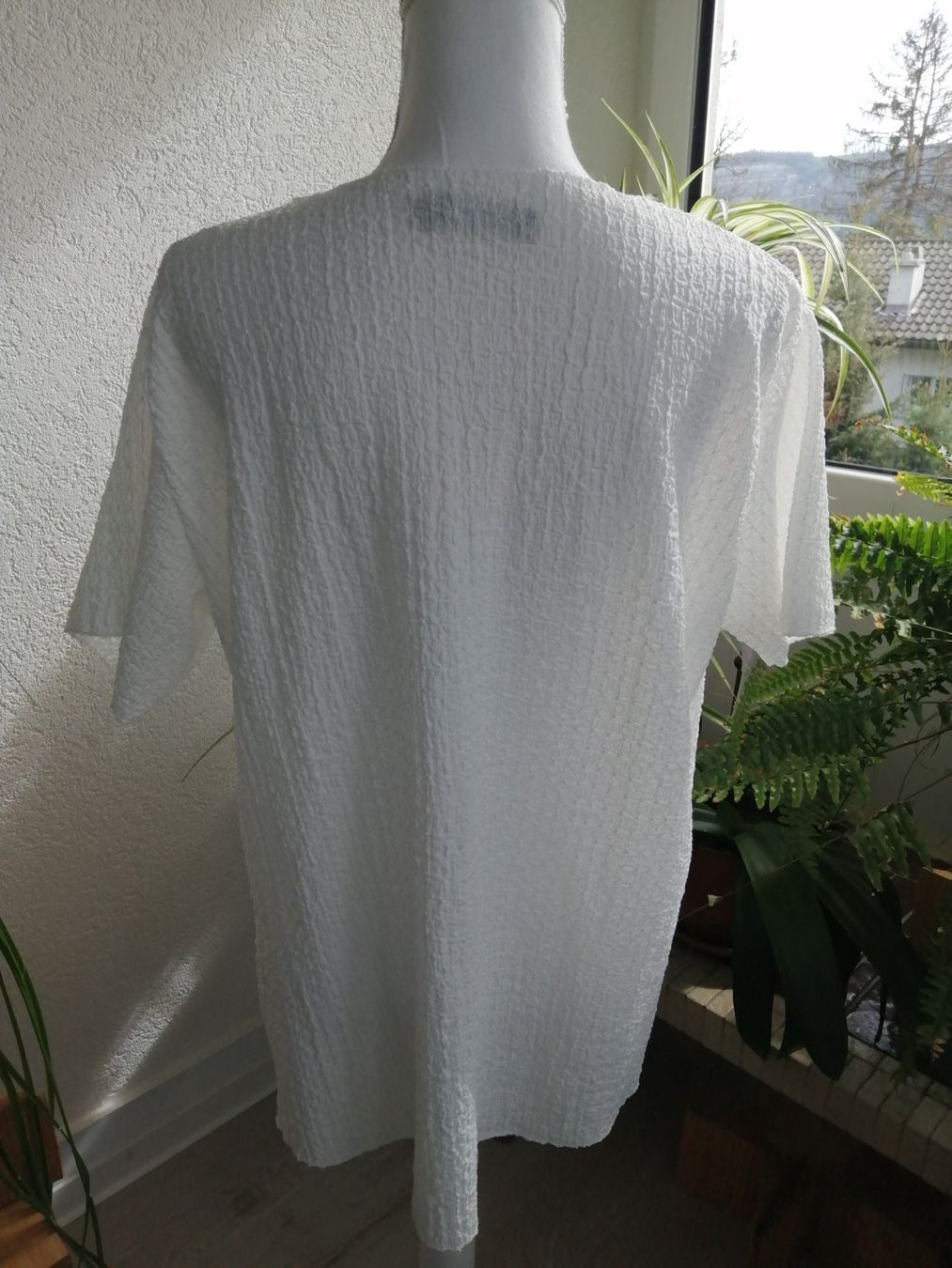 T-shirt: Shirt Today, Grösse:M – Nuovo e nell'imballaggio originale da Altstätten SG venduto da tollesauswolle 1