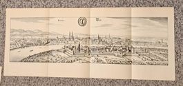 Topographia Helvetiae: Panorama-Ansicht von Basel