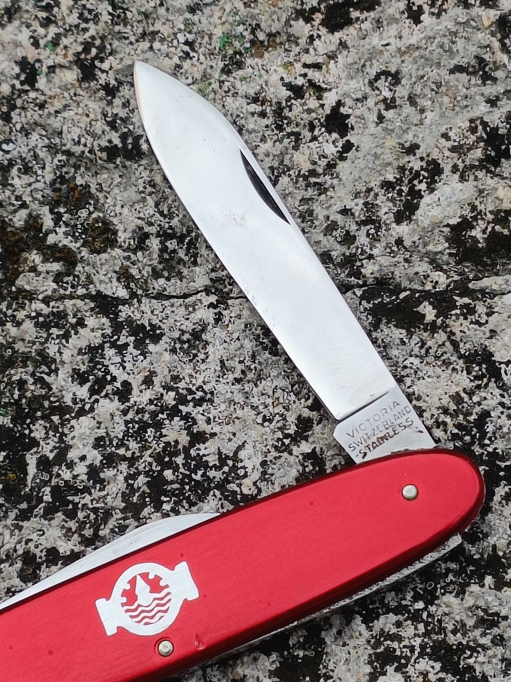 Victorinox Coltelli tascabile: Sackmesser Victoria  – Usato da Brugg AG venduto da Ente015 2