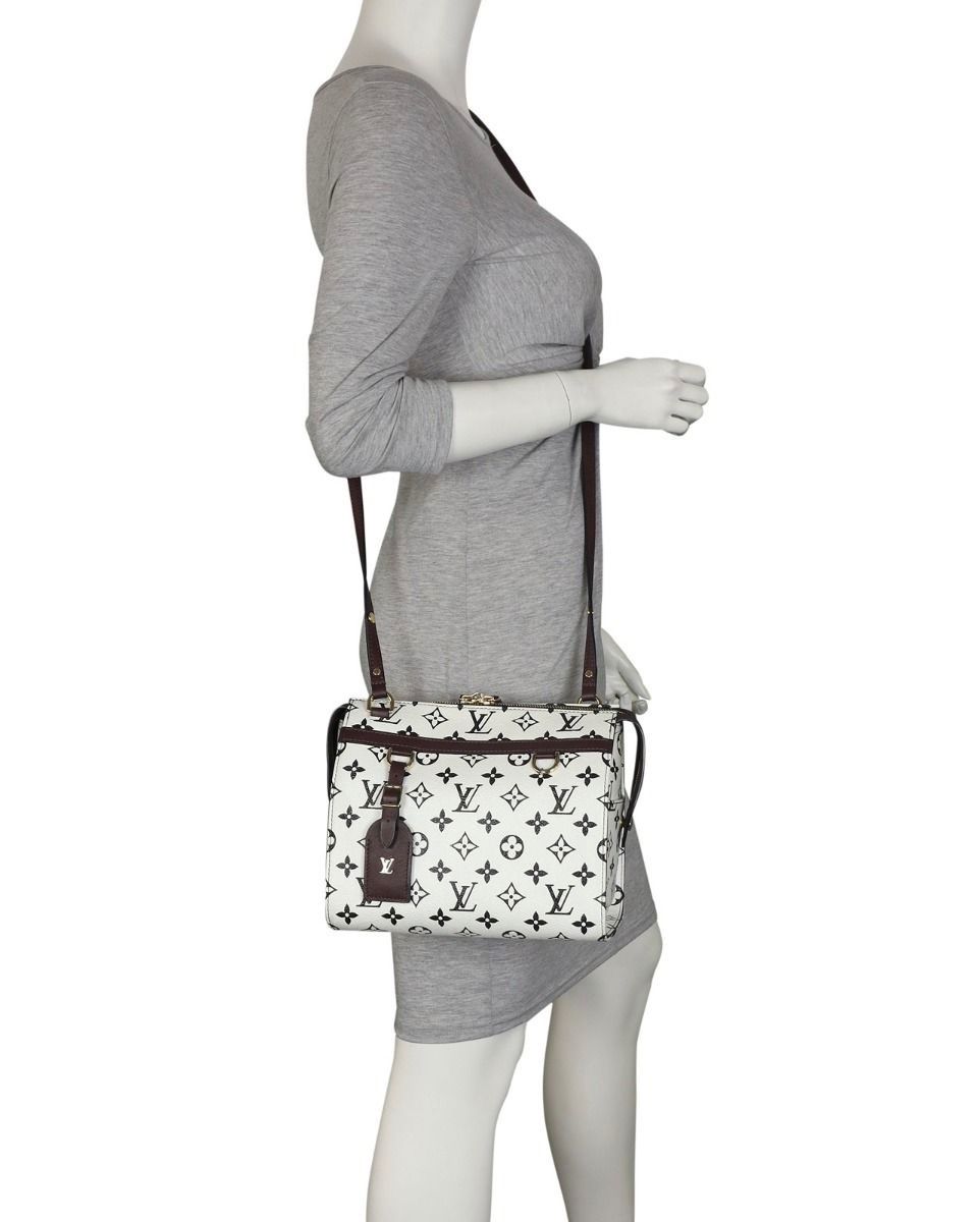 Louis Vuitton Borse da donna: Louis Vuitton Speedy Amazon PM – Usato da Reinach AG venduto da RobbisB 1