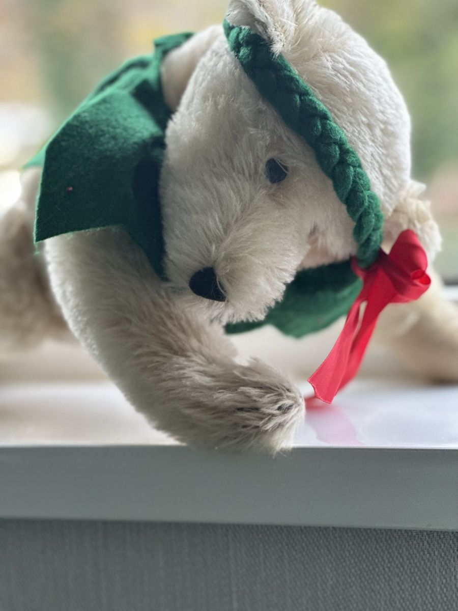 Steiff Bambole: Steiff Teddy Bär – Nuovo e nell'imballaggio originale da Mumpf venduto da A_B_E 6
