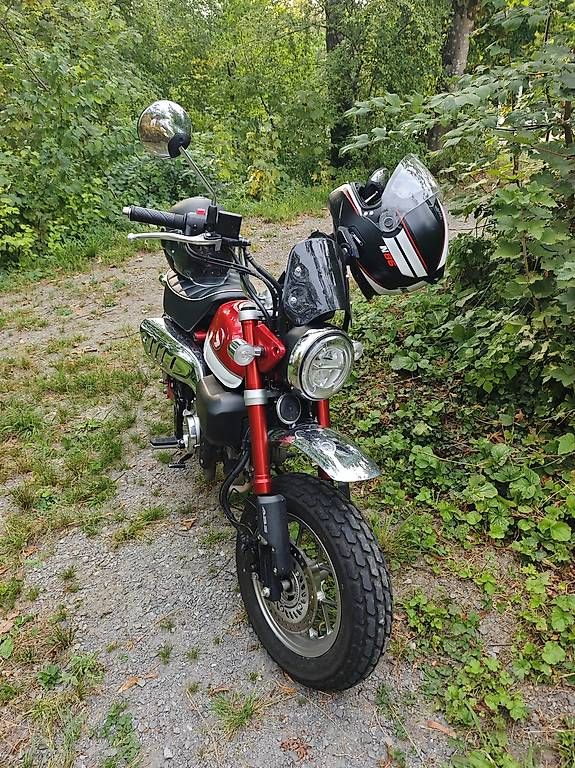 Mini Bikes: Honda Monkey 125ccm Mini Bike – Gebraucht aus Dietwil von Pino123Pino 2