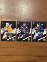 SportZoo Playoffs x/60 HC Davos