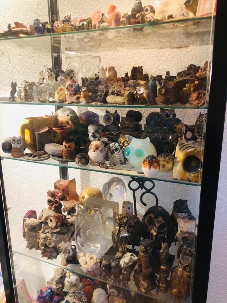 Vetrine: Vitrine mit ca. 300 Eulen zu verkaufen – Usato da Bern venduto da Tresor1952 4