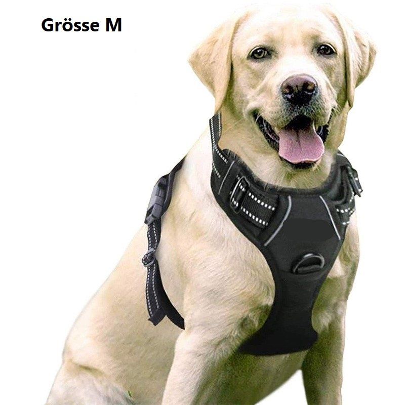 Guinzagli & Collari: EXA Hundegeschirr mit 2 Ringen - Grösse M – Nuovo e nell'imballaggio originale da Werdenberg venduto da EXA-Animal-World