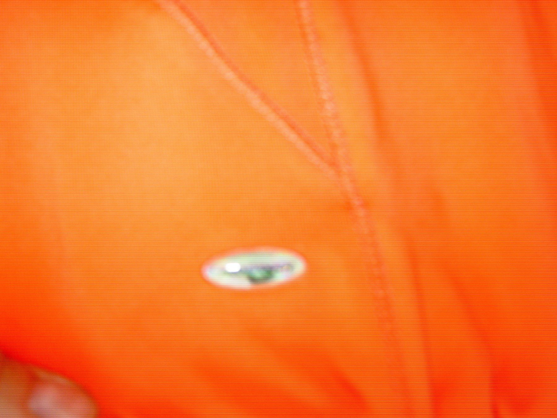 Robes: kleid Pro touch gr.S – D'occasion à Bettlach par Kvety 1