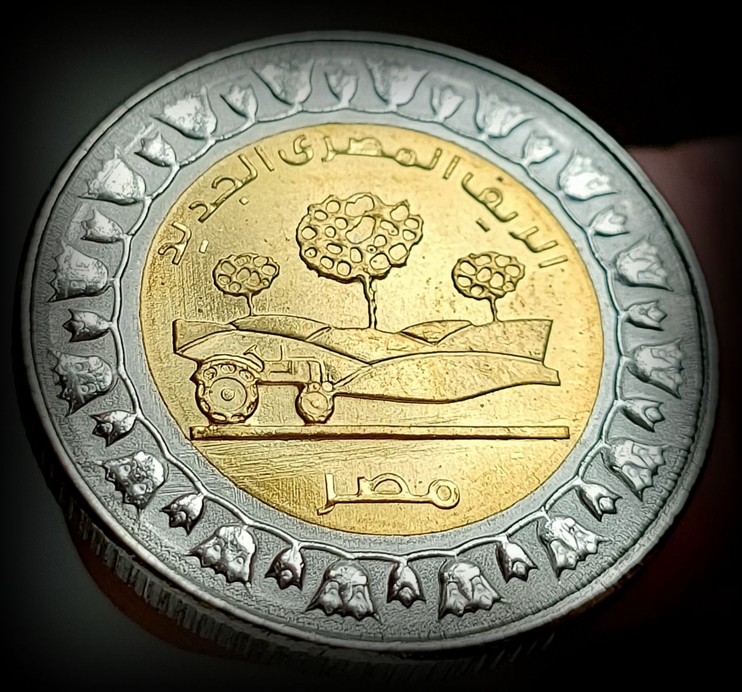 Alle Münzen: ÄGYPTEN ONE POUND 1440/2019 UNZ. – Neu (gemäss Beschreibung) aus Winterthur von Creso70