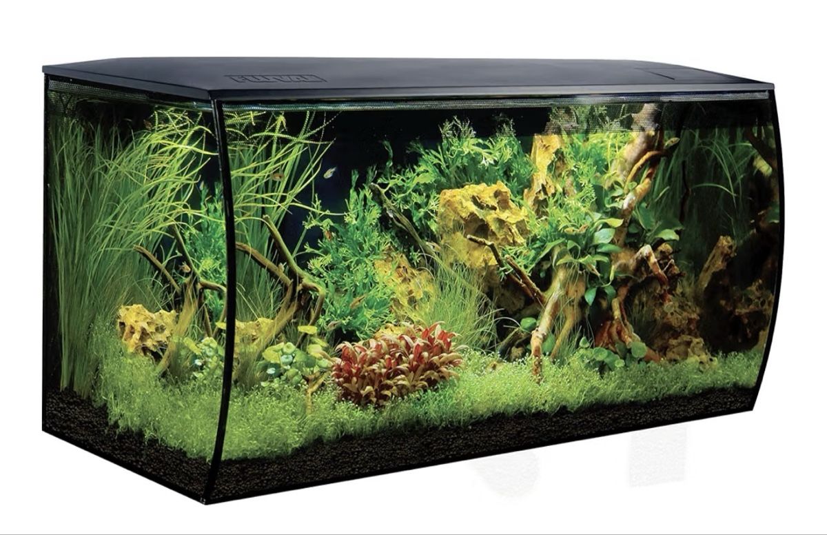 Fluval Aquarium: Aquarium Fluval mit Zubehör gebraucht – Gebraucht aus Montlingen von lis_jpf5 8