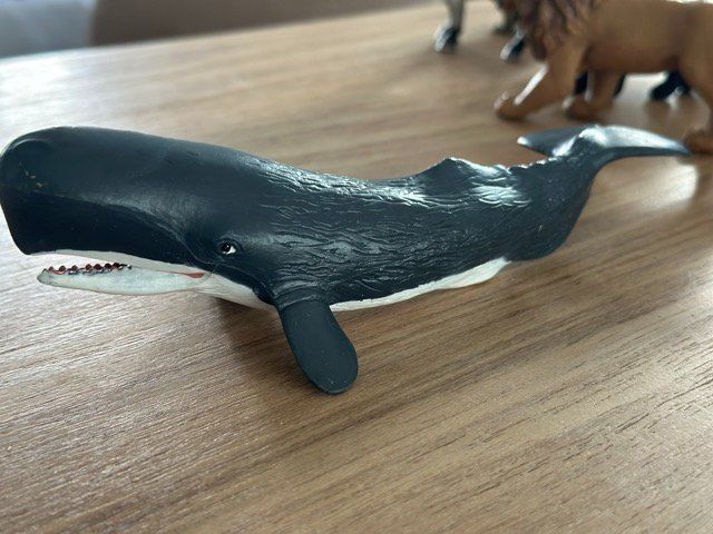 Statuette: Safari Ltd. Pottwal Sammelfigur – Usato da Fällanden venduto da SafariSchleichCH