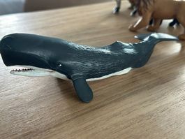 Safari Ltd. Pottwal Sammelfigur
