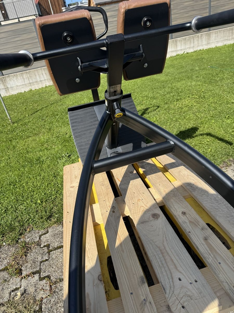 Cybex Hometrainer: Cybex  Back Hyperextension  – Usato da St. Margrethen SG venduto da taf_alb 9