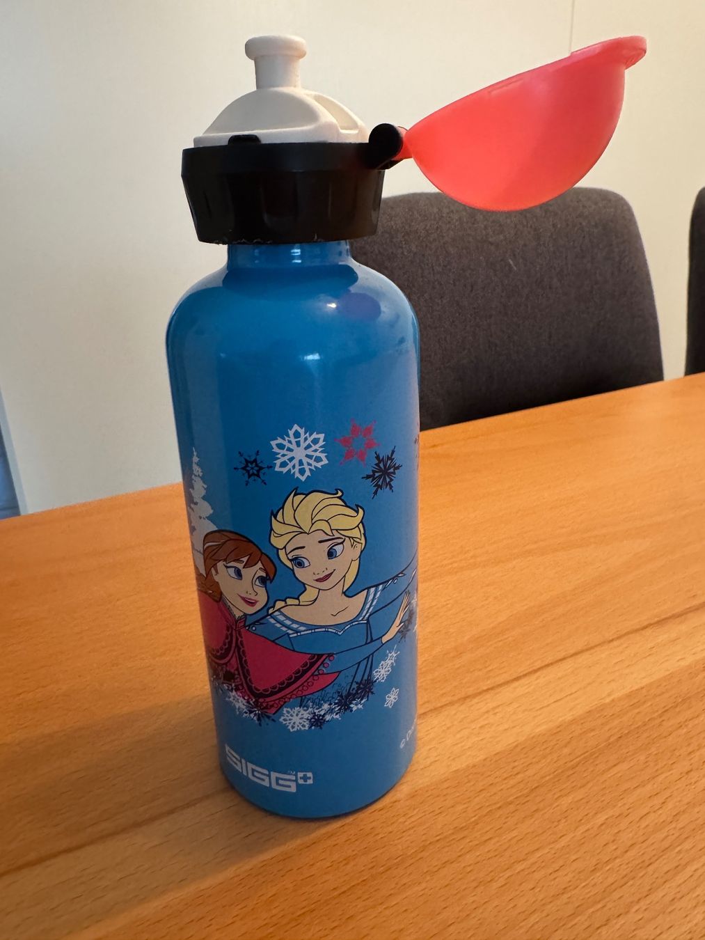 Sigg Borracce & Thermos: Sigg Trinkflasche Frozen – Usato da Wohlen AG venduto da shoppi1