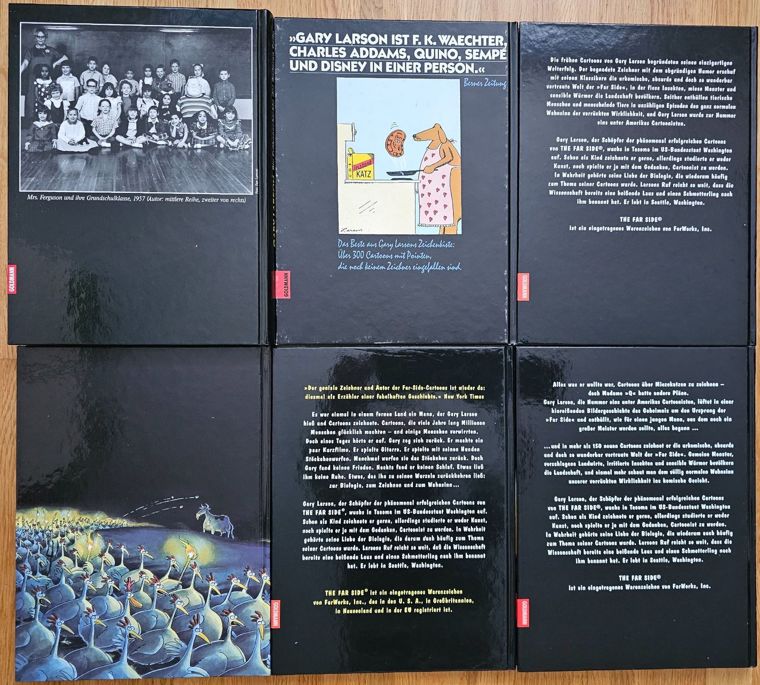 Fumetti: Gary Larson - Cartoon Sammlung - 9 Bücher – Usato da Seengen venduto da Acaramba 1