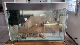 Aquarium 160L avec filtre bon état