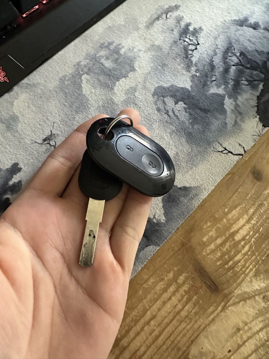 Yadea Scooter: YADEA C-Umi – Usato da schwerzenbach venduto da Sendmail50 6