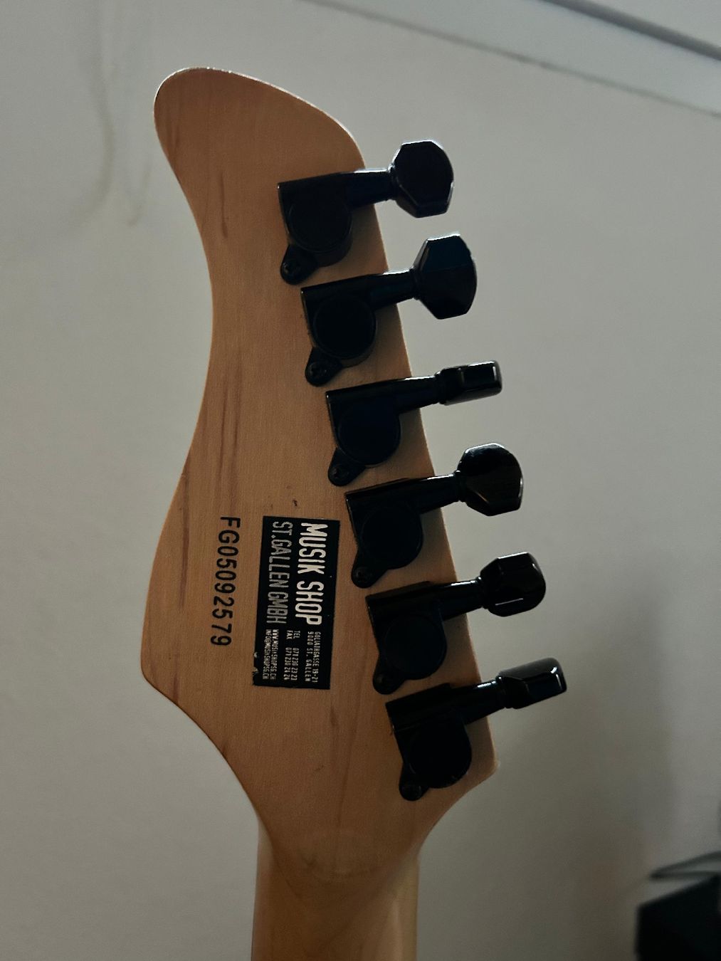 Musikinstrumente: E-Gitarren-Set – Gebraucht aus Eggersriet von Rst1401 5