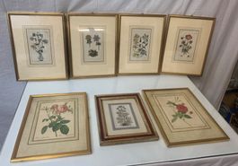 7 Blumenbilder gerahmt und 7 Bilder ungerahmt!