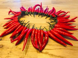 Girlande aus FRISCHEN SCHARFEN  CHILI