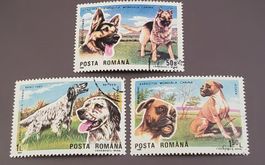 Rumänien 1990 Hund motiv briefmarke