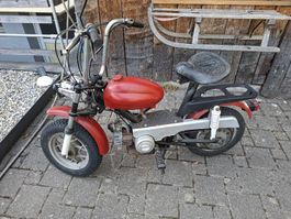 Mofa Morini