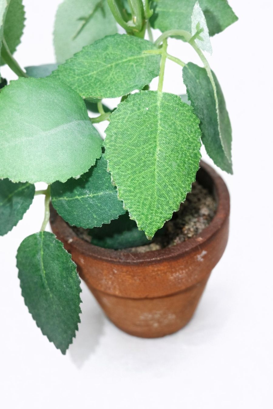 Piante & sementi: Künstliche Rosen Deko Topf – Nuovo (secondo la descrizione) da Fully venduto da VaneaSelection 4