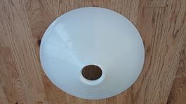 Antiker Lampenschirm Michglas 