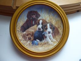 süsses Welpentellerbild im Rahmen, Limited Edition von aspca