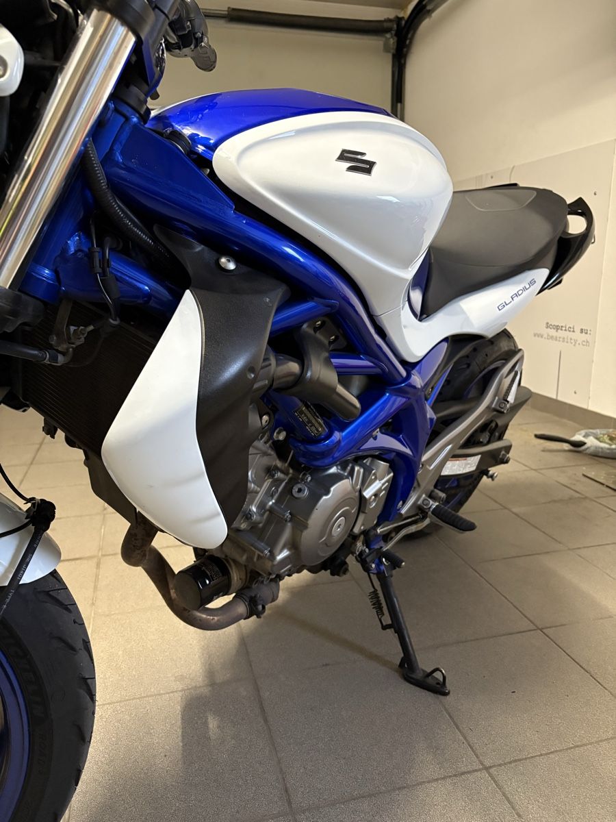 Strada: Suzuki Gladius 650 (35Kw) – Usato da Pregassona venduto da ser_9rz8 6