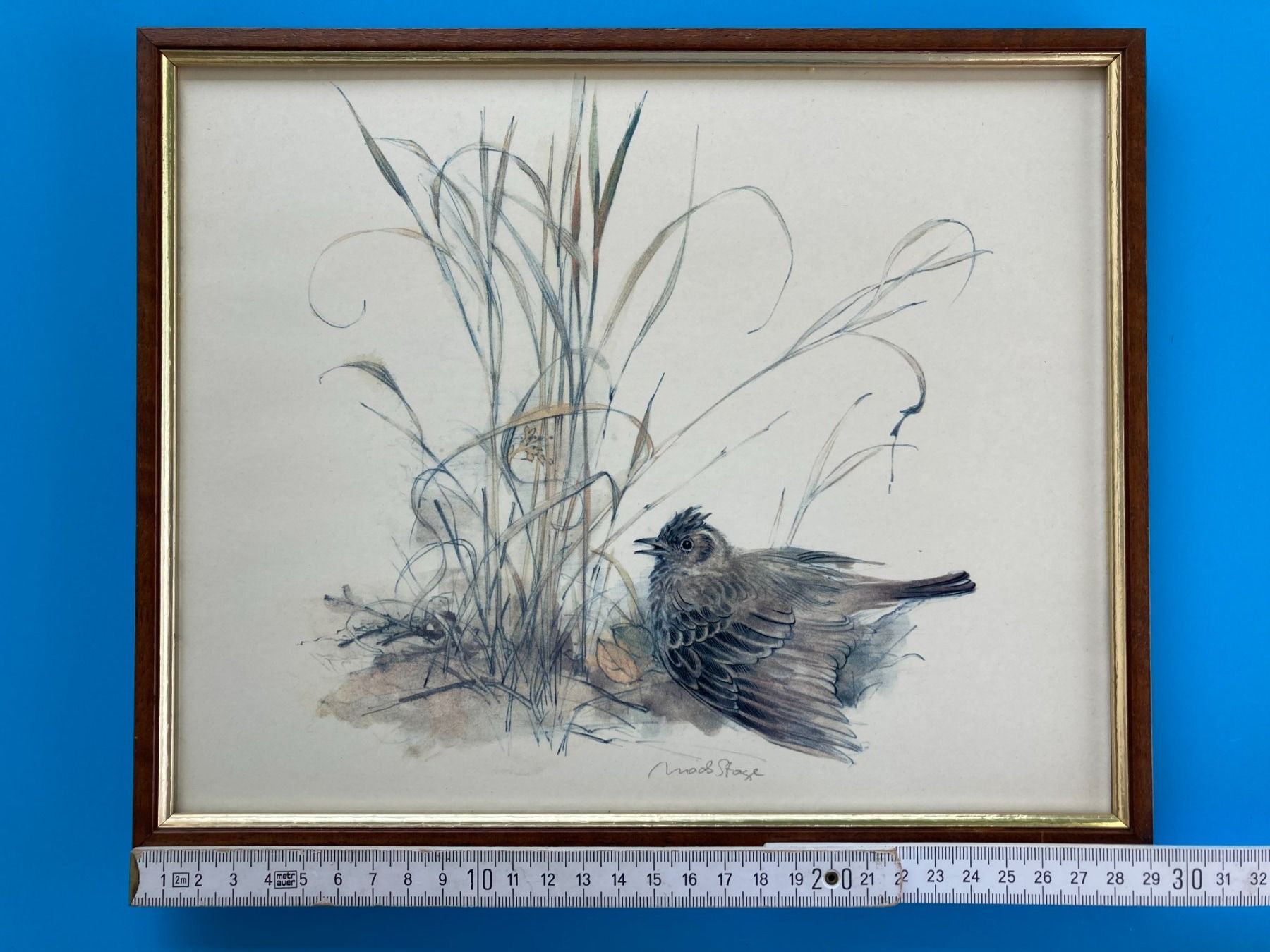 Grafica & Litografie: KUNSTDRUCK VON MADS STAGE   VOGEL – Usato da Subingen venduto da ArtBead 4
