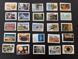 Sticker Set - Natur Geschichte Wissenschaft - 230 Stk.