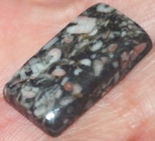 Cabochon L-882 – Crinoid Fossil – 25x13mm