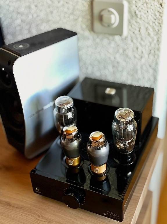 Verstärker: Feliks Audio Euforia 20Th Anniversary. – Gebraucht aus Ostermundigen von fredericbulsara