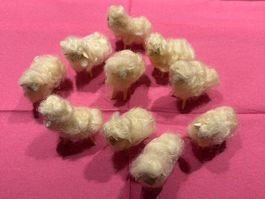 Lot à 10 kleine, weisse Schafe aus Wolle mit Gipsköpfchen