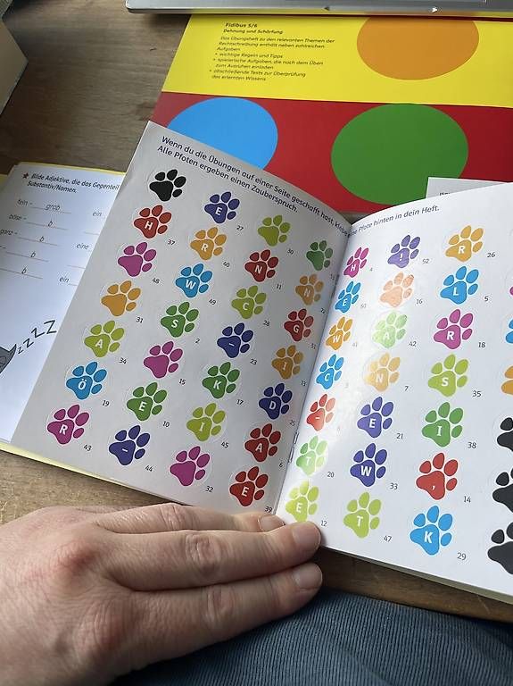 Libri: Fidibus 5/6 Rechtschreibung   – Usato da Dietlikon venduto da VintageStudioZurich 3