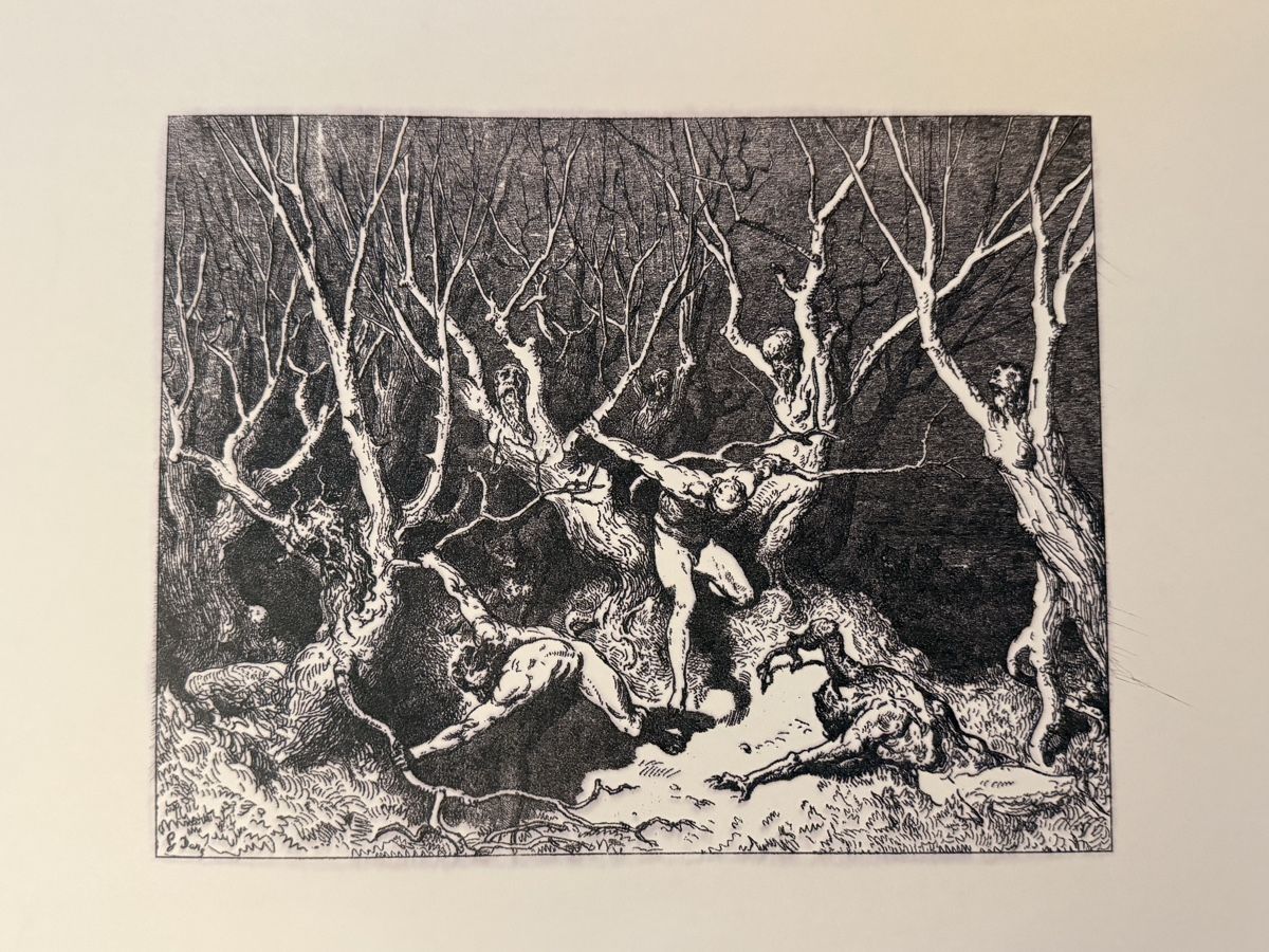 Grafica & Litografie: Lithographie - Gustave Doré – Usato da Solothurn venduto da NUVICO