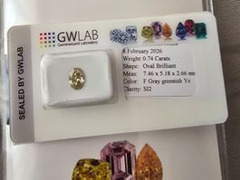✨ Wunderschöner 0.74 ct Diamant | Oval Brillant | GWLAB vers