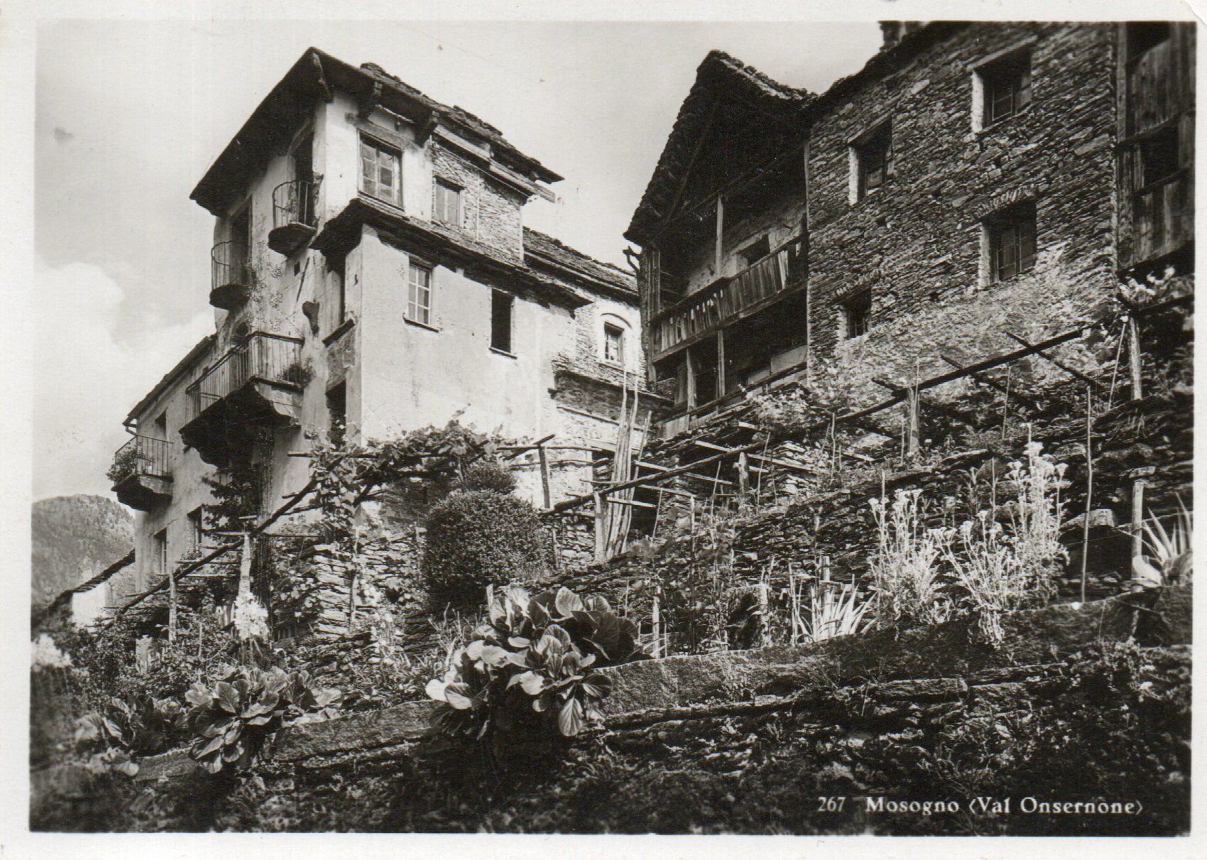 Cartoline postali: Mosogno (Val Onsernone) – Nuovo (secondo la descrizione) da Melano venduto da pisonsdro