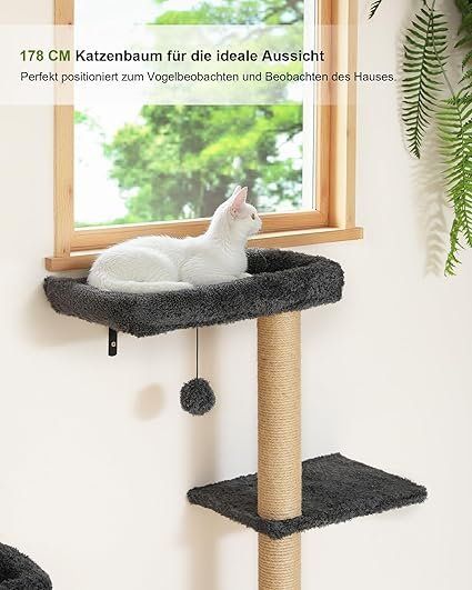 Pareti & prese d'arrampicata: Kletterwand Katzen-Set, 178 cm hoch – Nuovo e nell'imballaggio originale da Oberentfelden venduto da ase_sk8n 3