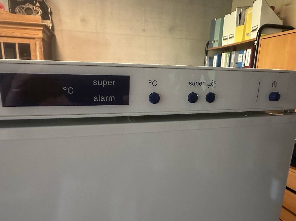 Bosch Congélateurs: Gefrierschrank Bosch – D'occasion à Teufen AR par Hero2025 2