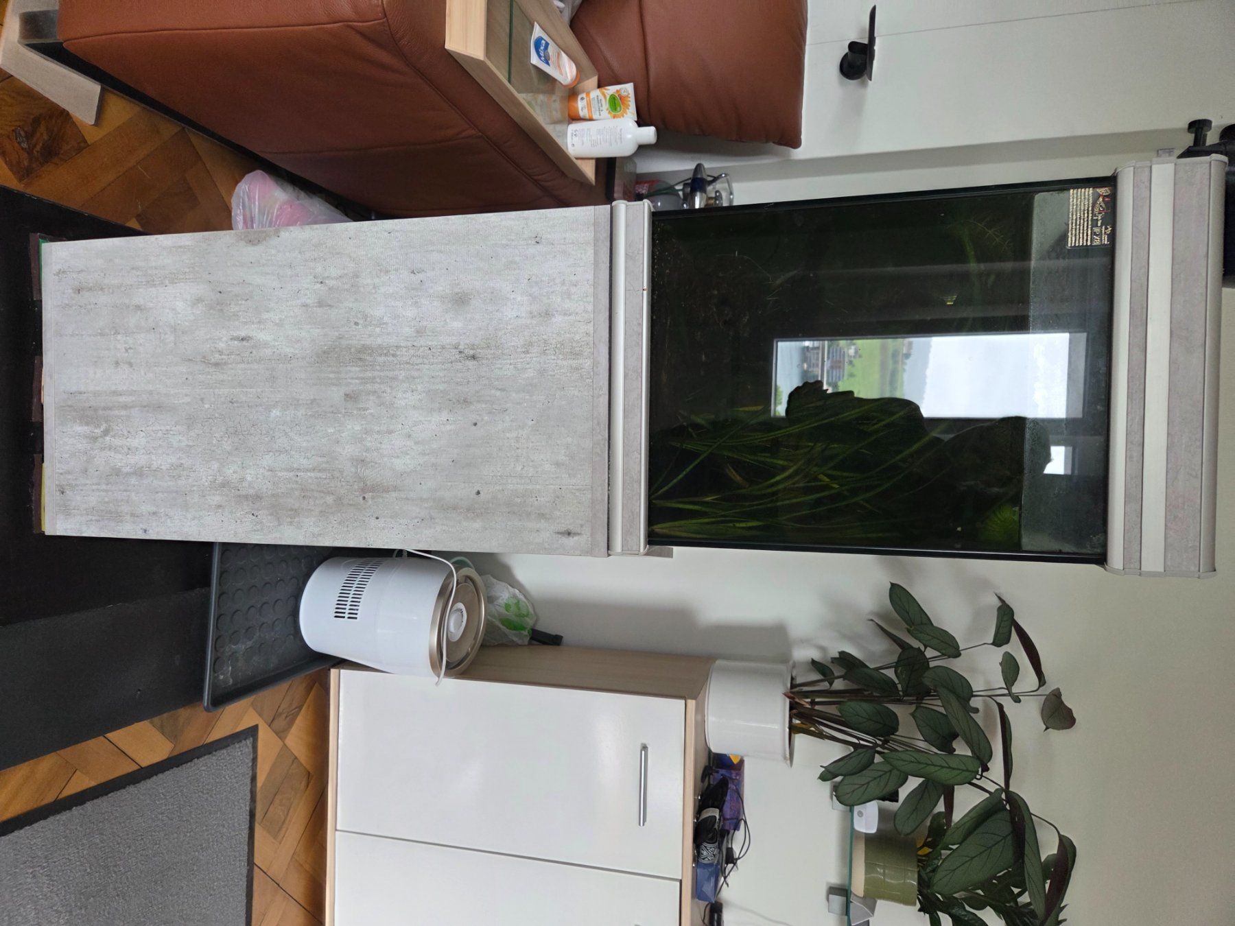 Acquari: Aquarium mit Unterschrank – Usato da Küssnacht am Rigi venduto da Car_lmk6 1