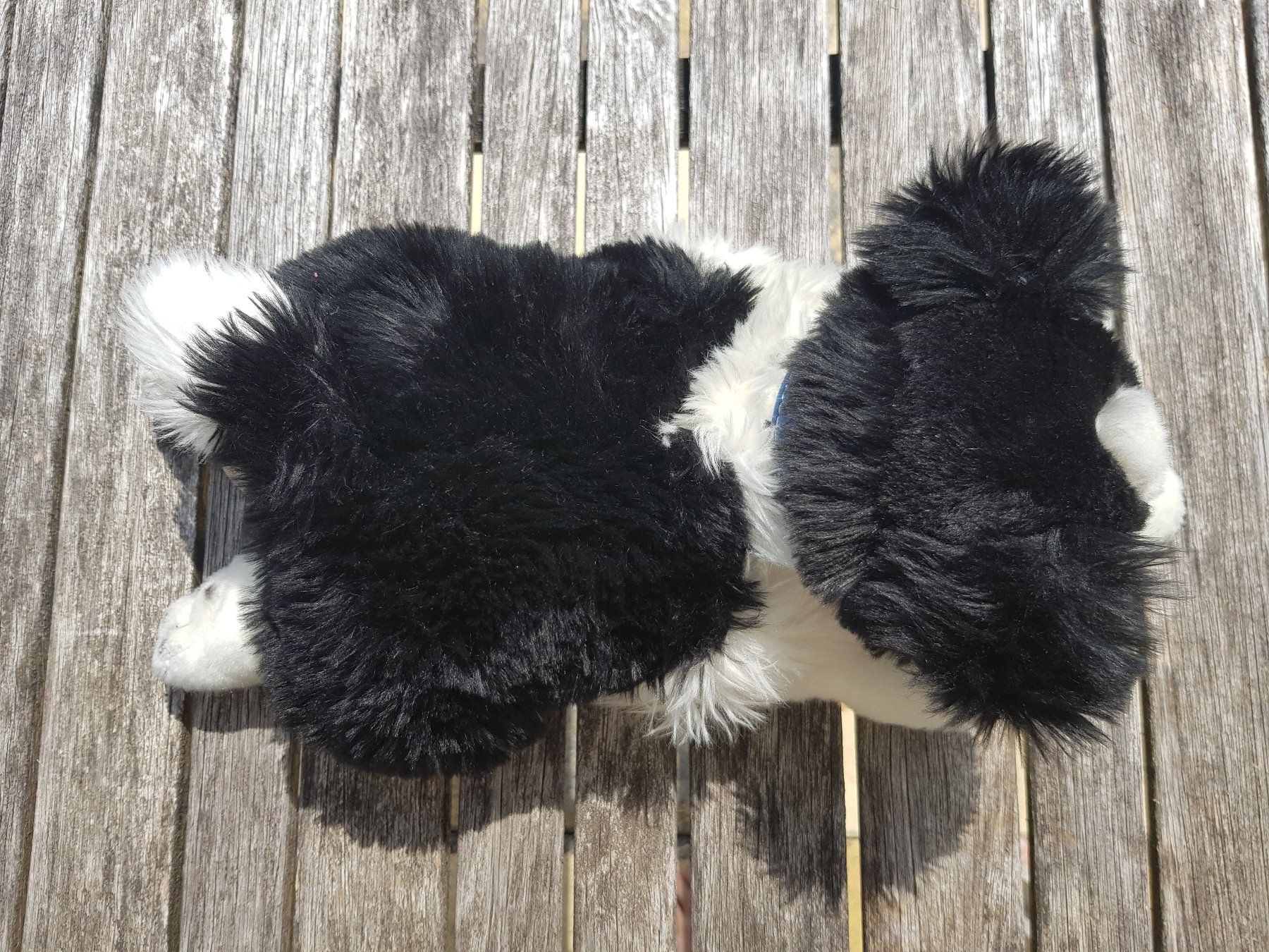 Spielzeuge: Plüschhund schwarz/weiss – Gebraucht aus Jona von dampfnuggi 1